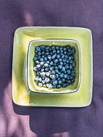 Display of green tableware with wild black berries in the square bowl on purple tablecloth.