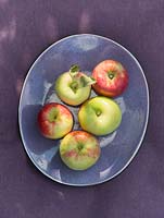 Display of violet tableware with colorful apples.