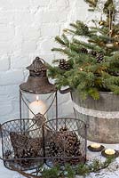 Christmas display of Conifer placed in bucket, beside pine cones in metal basket