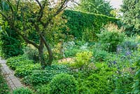 Spring garden with woodland plants enclosed by beech hedge.  Geraniums, epimediums, ferns, aquilegias. Hardwicke House Fen Ditton, May.