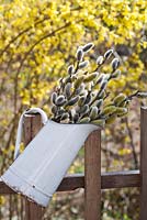 Jug of catkins hanging on a wooden fence.