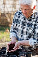 Man preparing to sow seeds of kale 'Nero di Toscana' in pots. Filling pots with soil. 