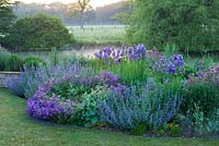 The blue garden - border beside the lawn with geraniums, nepeta and Iris sibirica. Narborough Hall Gardens, Norfolk