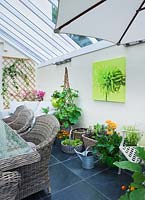 Conservatory with wicker table and chairs and container grown plants 