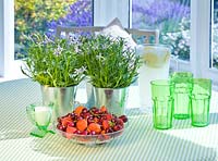 Table setting with green glasses, bowl of fruit and metal containers planted with Isotoma axillaris