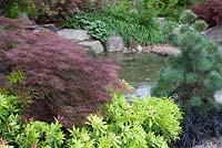Pond in lushly planted garden 