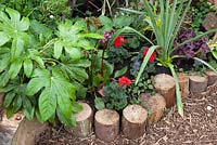 Logs used as border edging - Nature Versus Man Garden