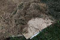 Weed control using a cardboard and grass clipping mulch