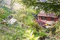 View of C16 house and greenhouse from top of steep woodland garden through trees