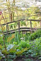 Naturalistic woven style arched bridge over  pond in early summer