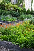 Raised beds in potager garden. Vegetables grown with compatible flowers and plants. Jardin des Paradis, Cordes-sur-Ciel, Tarn, France.