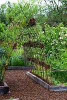 Living sculptural piece of willow grown as an arched tunnel displayed in the raised beds potager at Jardins des Paradis, Cordes-sur-Ciel, Tarn, France. Designed to encourage children's interest in gardening. 
