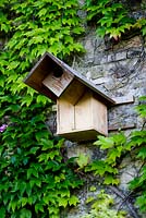 Wooden birds nesting box set attached to wall covered in virginia creeper. Jardins des Paradis in Cordes sur Ciel, France.  