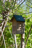 Wooden birds nesting box set into living willow fence. At Jardins des Paradis in Cordes sur Ciel, France.  