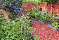Square vegetable garden on wooden red mulch