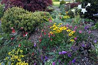 Mixed colourful planting in rock garden