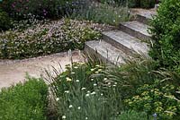 Granite steps with perennial beds with mixed perennial flowerbeds including geranium x cantabrigiense 'Biokovo'