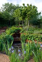 A Garden for First Touch at St George's Sloping garden of green foliage. Siberian irises at foot of channel of water with rusted corten steel. 