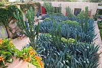 Moroccan garden with cacti