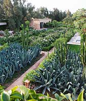 MacIntosh Garden, Morocco - Design: Eric Ossart and Arnaud Maurieres
