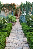 Moroccan garden with cacti
