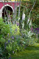 Chelsea flower show 2014. The brand alley renaissance garden including digitalis purpurea, salvia, geranium, angelica and foeniculum vulgare