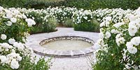 Circular pool surrounded by white Iceberg roses, Le Jardin D'Alchmiste, Provence, France 