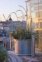 Roof garden at the Holiday Inn, Rue Danton, Paris, France 