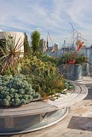 Raised bed with built in seating filled with cactus and succulents on roof terrace garden, The Holiday Inn, Rue Danton, Paris, France