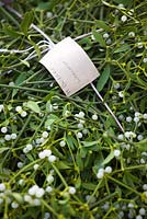 Farmers label on mistletoe bundle. Holly and mistletoe auction, Tenbury Wells, Worcestershire