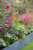 Planting combination of Heuchera, Paeony and Astrantia major 'Star of Passion'. Positively Stoke-on-Trent. Chelsea Flower Show 2014
