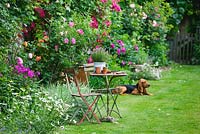 Lawn and 15th century french farmhouse with antique furniture and family dog 'Garance'. Les Jardins de Roquelin, Loire Valley, France