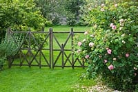 Lawn and a decorative wooden fence by Stephane Cassine - beside is Rosa 'Constance Spry'. Les Jardins de Roquelin, Loire Valley, France