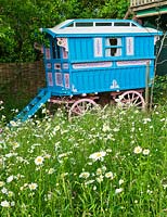 The gypsy caravan among wildflowers. Gipsy House, Buckinghamshire
