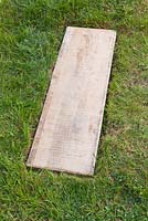 Wooden board used as a stepping stone
