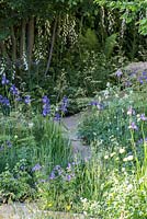 The Homebase Garden 'Time to Reflect'. RHS Chelsea Flower Show 2014. Paved path through informal planting. 