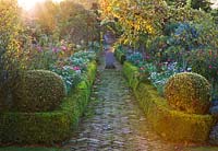 Brick path leading past box edged bed to urn on plinth and vine in autumn colour - evening light. Saling Hall, Essex