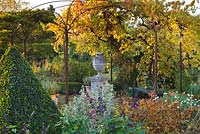 Topiary pyramid, metal pergola with urn on plinth and vine in autumn colour 