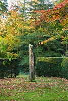 Autumnal view of the millenium stone, a granite menhir brought in 1999 from snowdonia, surrounded by the persian ironwood tree - parrotia persica and yew hedges. Saling Hall, Essex