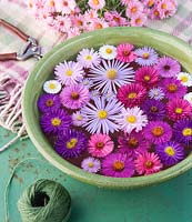 Flower heads of autumn flowering asters floating in water in metal container on green table 