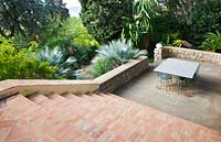 Brick steps down to patio with table and chairs - low wall and Brahea Armata 