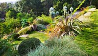 View down onto a succulent garden with phormium and Zoiysa tenuifolia in foreground. 