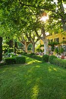 The house with plane trees and hedging. Les Confines, Provence, France