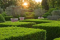 Evening light on clipped hedging and large terracotta containers planted with olive trees. Les Confines, Provence, France