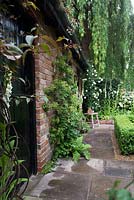 The Topiarist's Garden. View of a path and a brick house wall surrounded by clipped topiary:  Buxus sempervirens  and Taxus and white flowers: Campanula persicifolia, Lupinus and Roses. 