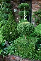 Clipped topiary shapes of Buxus sempervirens and Taxus baccata in The Topiarist Garden at West Green House