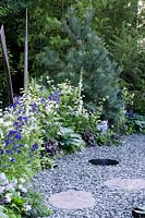 Mixed blue and white planting next to slate path including Hosta 'Halcyon', Phlox divaricate 'Clouds of Perfume', Aquilegia 'Green Apples' and  Anchusa azurea 'Loddon Royalist' - The Viking Cruises Norse Garden