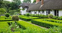 The thatched cottage seen from the formal garden of clipped box hedges and lollipops of variegated yew