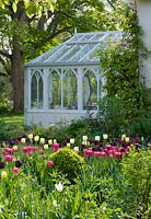 White conservatory beside the house with border full of tulips in the foreground