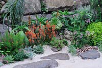 From The Moors to the Sea Garden. Exotic planting and  succulents in coastal garden with large rocks 